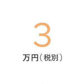 3万円（税込）