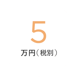 5万円（税込）